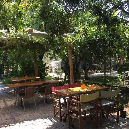 Serenity Bungalow Camyuva * Agva (Mediterranean)